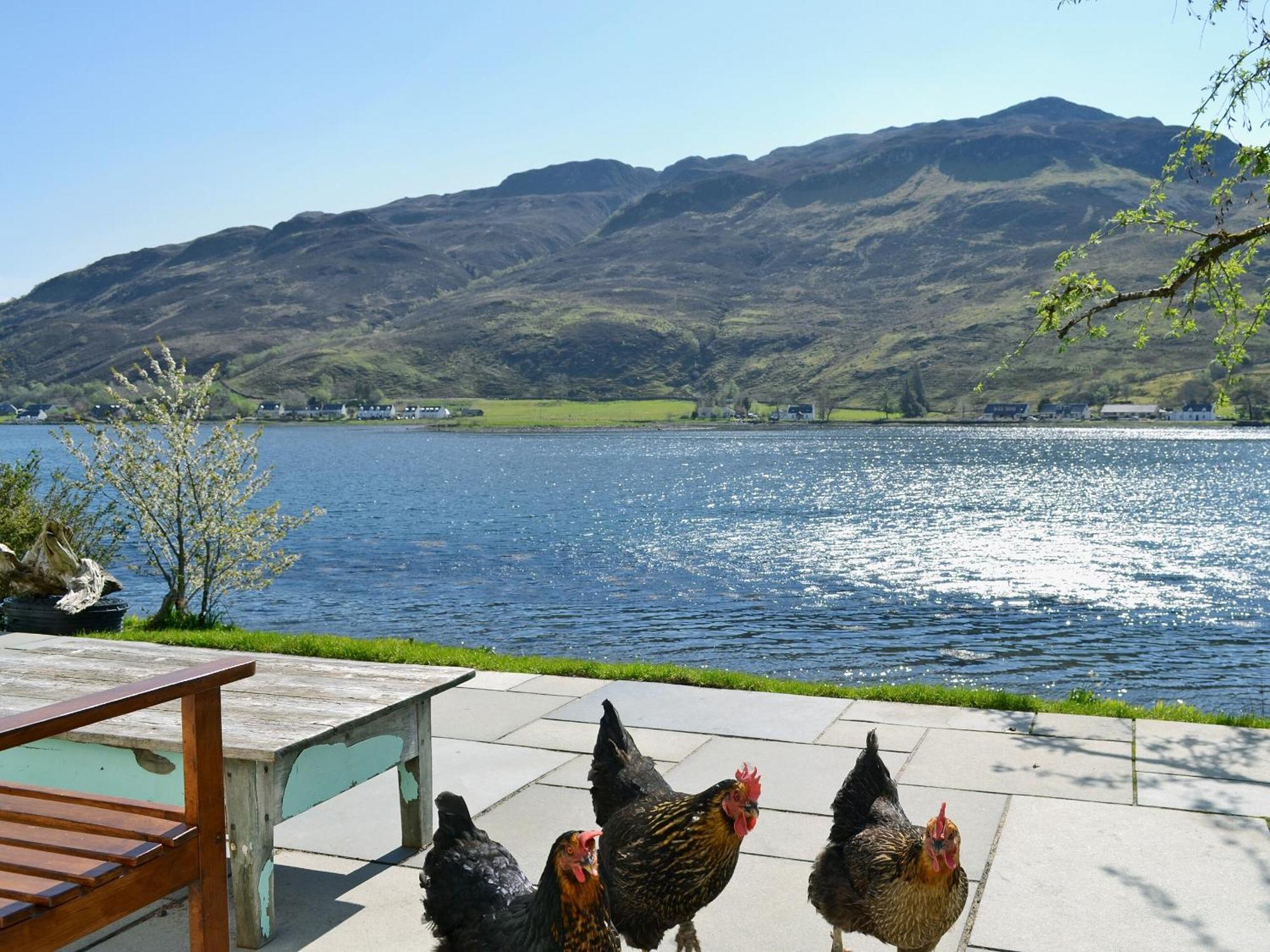 Loch Shore Cottage Dornie Exteriör bild
